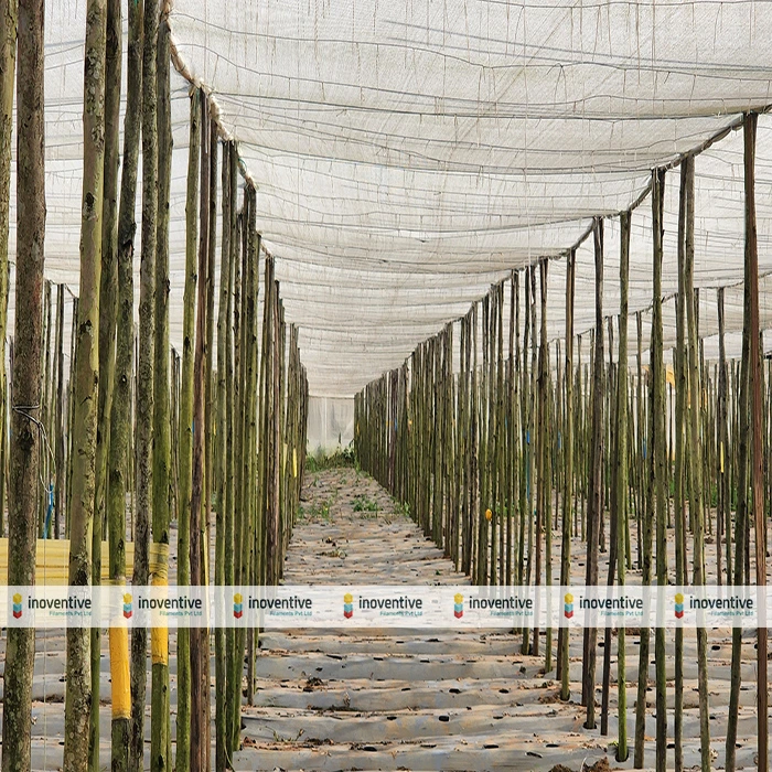 Agrosia Pet Agriculture Wire for Shadenet